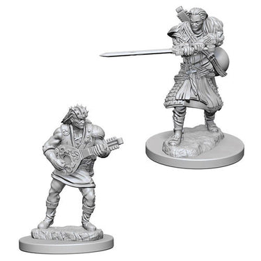 Dungeons & Dragons: Nolzur's Marvelous Unpainted Miniatures - W04 Human Male Bard