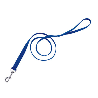 Coastal Single-Ply Nylon Dog Leash (Blue) 6'