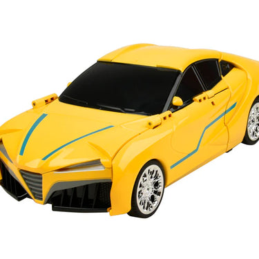 Auto Moto: Battling Robots