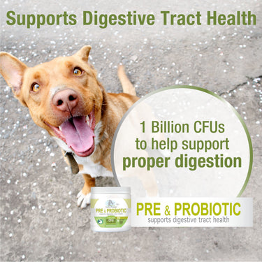 Four Paws Healthy Promise Savory Chicken Pre & Probiotics For Dogs