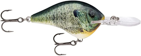 #6 DT® (Dives-To) Series Live Bluegill