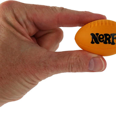 World's Smallest Nerf Football
