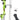 Bear Archery Brave Bow Set