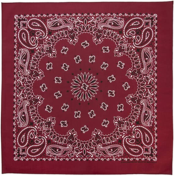 Load image into Gallery viewer, BURGUNDY PAISLEY BANDANA
