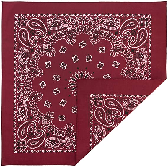 Load image into Gallery viewer, BURGUNDY PAISLEY BANDANA
