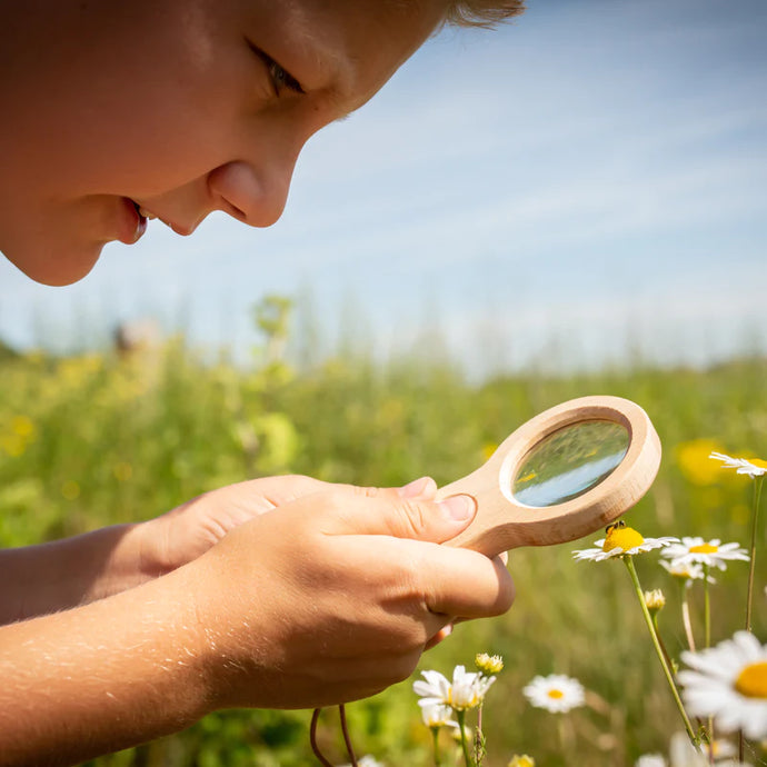 HUCKLEBERRY DUAL MAGNIFIER