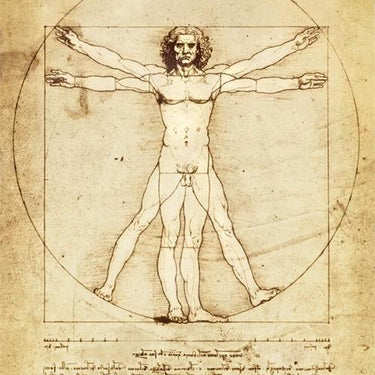 Da Vinci's Vetruvian Man Poster