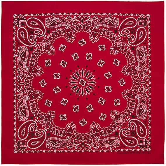 Load image into Gallery viewer, RED PAISLEY BANDANA
