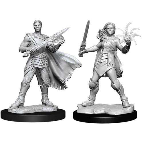 Magic the Gathering Unpainted Miniatures: Rowan Kenrith & Will Kenrith (Fighter, Wizard)D