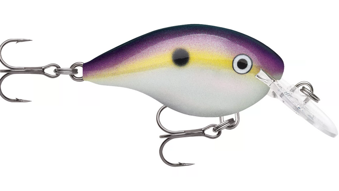#14 DT® (Dives-To) Series Big Shad