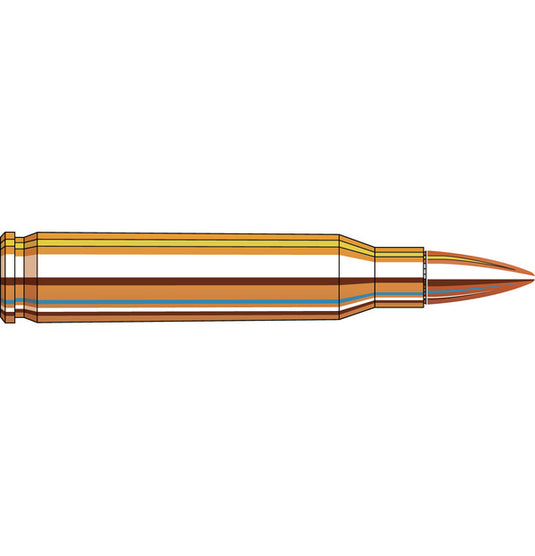 223 Remington 55 gr FMJ/BT