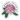 Rhododendron Large Sticker