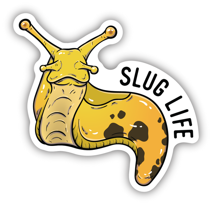 BANANA SLUG