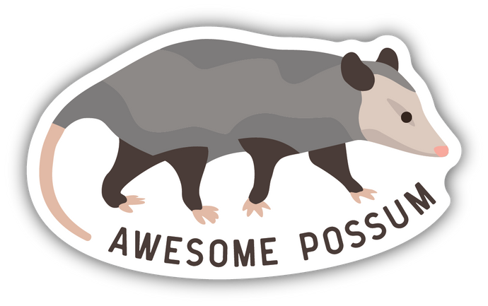 AWESOME POSSUM