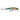 #7 Original Floating® Rainbow Trout