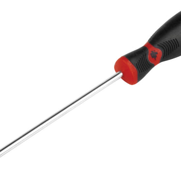 #2 X 4 in. Phillips Screwdriver