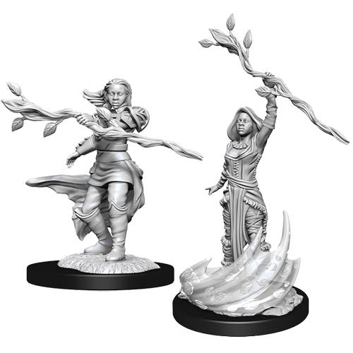 D&D Nolzur's Marvelous Unpainted Minis: W14 Female Human Druid