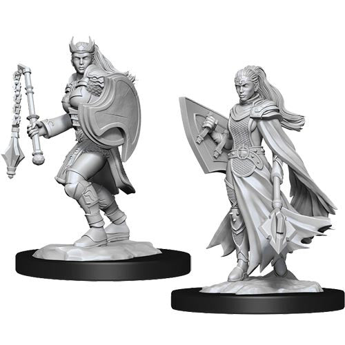 D&D Nolzur's Marvelous Unpainted Minis: W14 Female Kalashtar Cleric