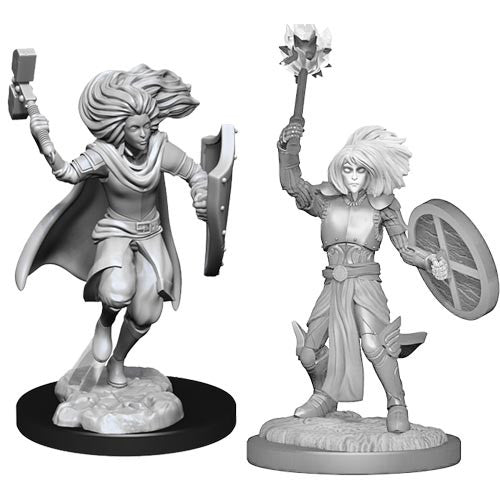 D&D Nolzur's Marvelous Unpainted Minis: W14 Male Changeling Cleric